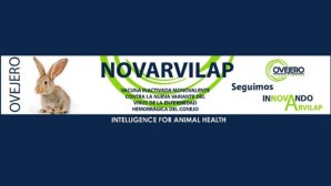 Presentación Novarvilap