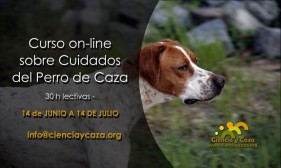 Curso on-line sobre cuidados básicos del perro de caza