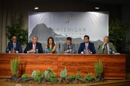 Presentación Artemisan