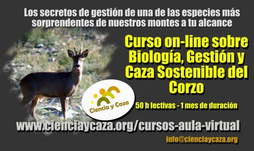 Curso on-line sobre Biología, Gestión y Caza Sostenible del Corzo