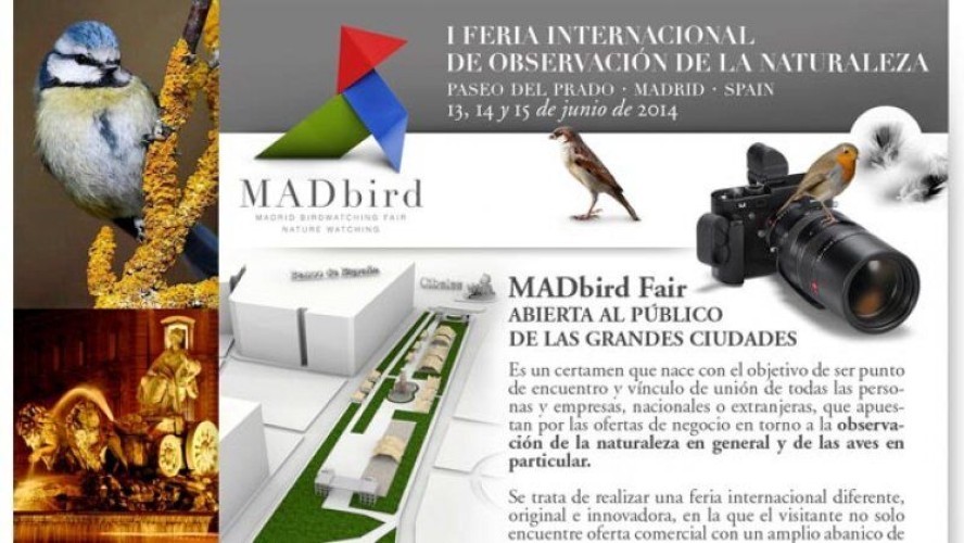 Madrid Bird Fair