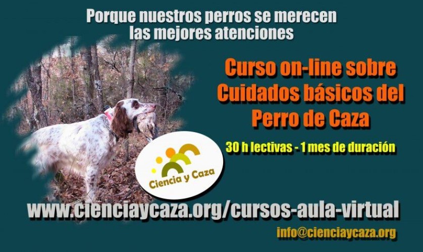 Curso on-line sobre Cuidados Básicos del Perro de Caza