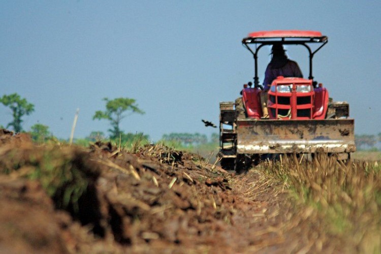 Buenas prácticas agrícolas