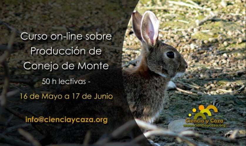 Curso on-line sobre Producción de Conejo de Monte